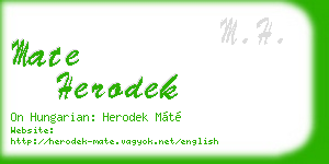 mate herodek business card